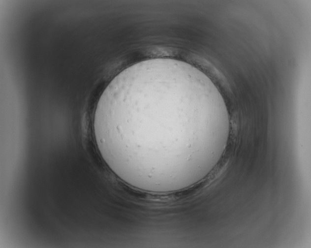 X0000102270359200807250902