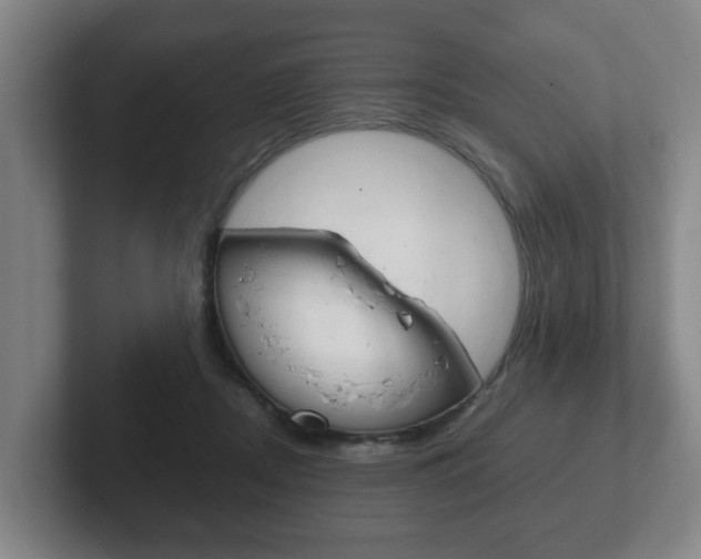 X0000102270362200807250902