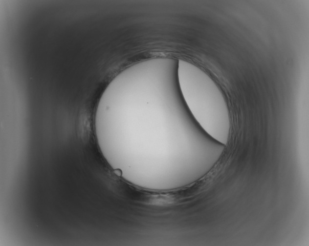 X0000102270363200807250902