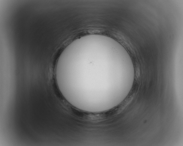 X0000102270367200807250902