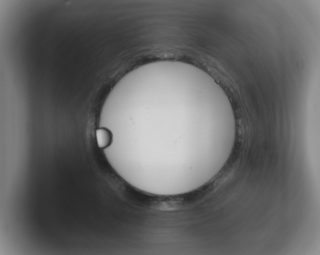 X0000102270368200807250902