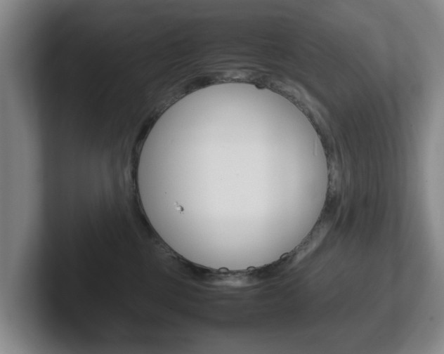 X0000102270377200807250902