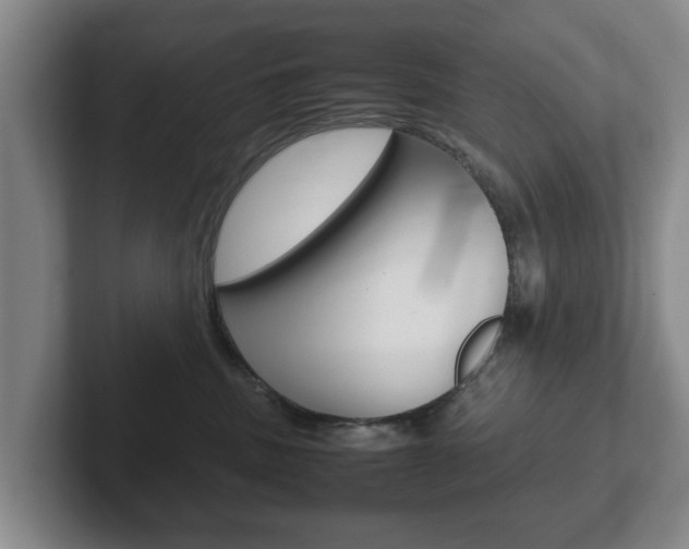 X0000102270379200807250902