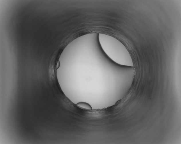 X0000102270381200807250902