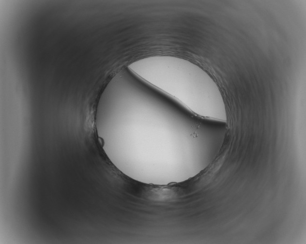 X0000102270383200807250902