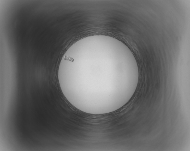 X0000102270384200807250902