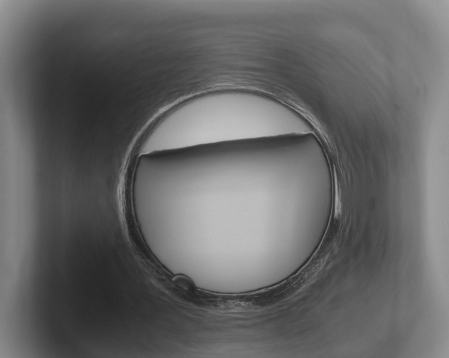 X0000102270387200807250902