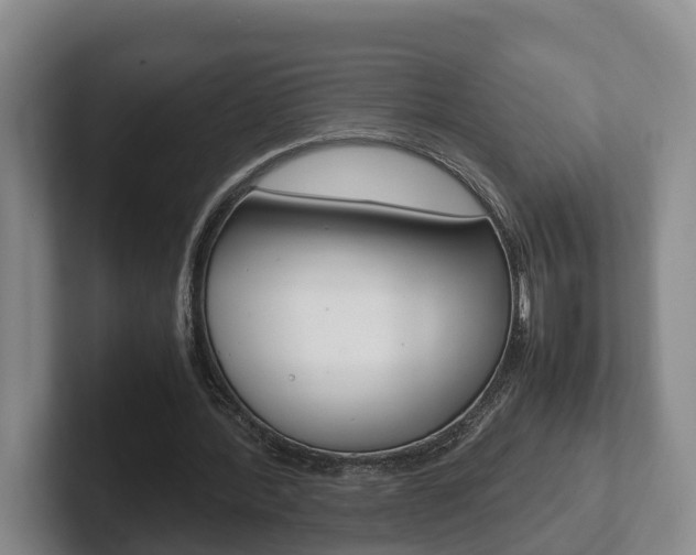 X0000102270388200807250902