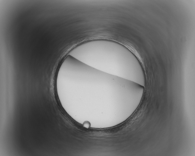 X0000102270389200807250902