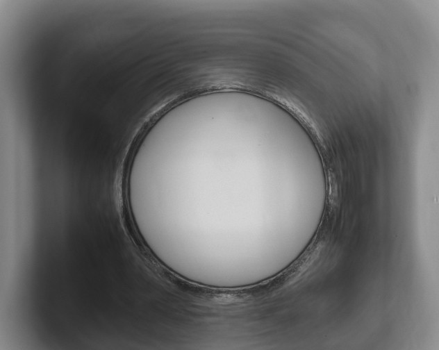 X0000102270390200807250902