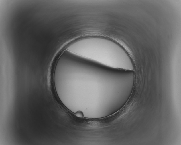 X0000102270391200807250902