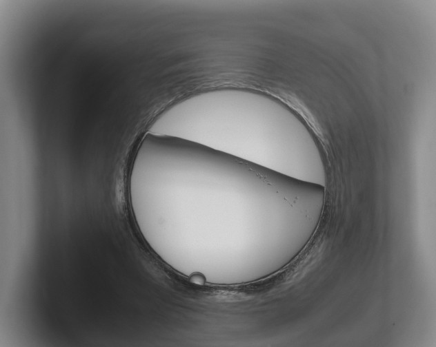 X0000102270393200807250902