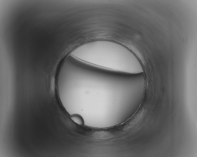 X0000102270397200807250902