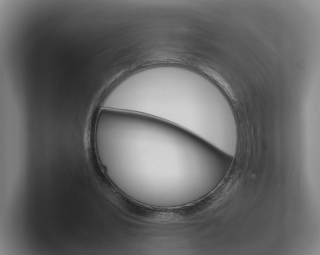 X0000102270399200807250902