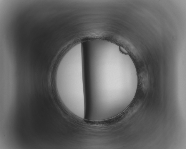 X0000102270400200807250902