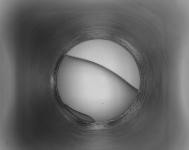 X0000102270405200807250902