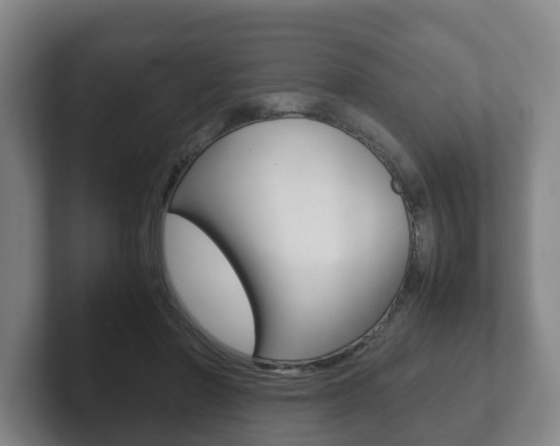 X0000102270406200807250902