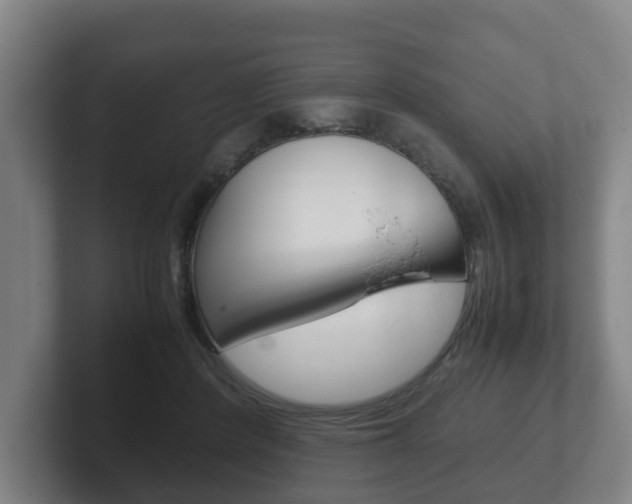 X0000102270408200807250902