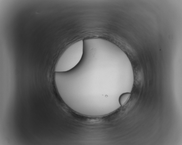 X0000102270414200807250902