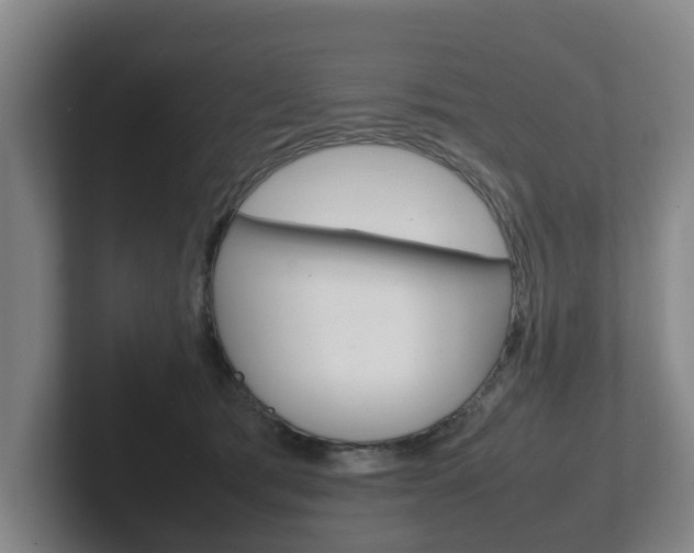 X0000102270417200807250901
