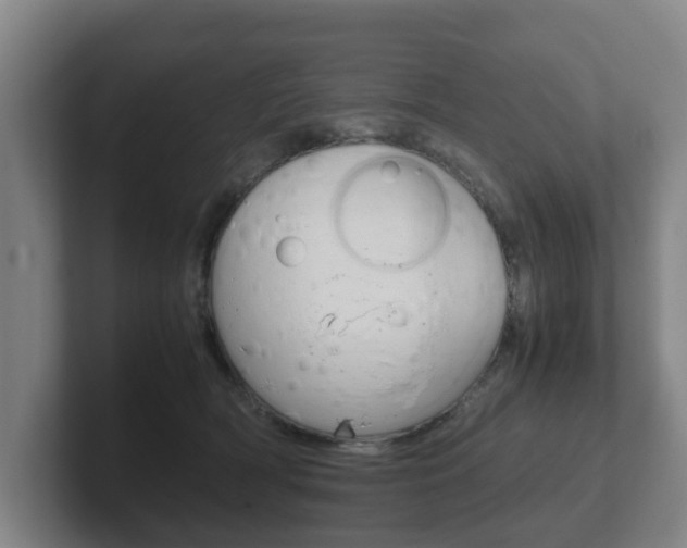 X0000102270418200807250901
