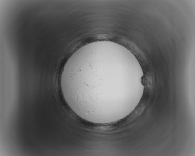 X0000102270422200807250901