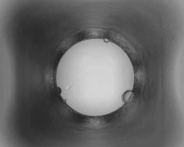 X0000102270423200807250901