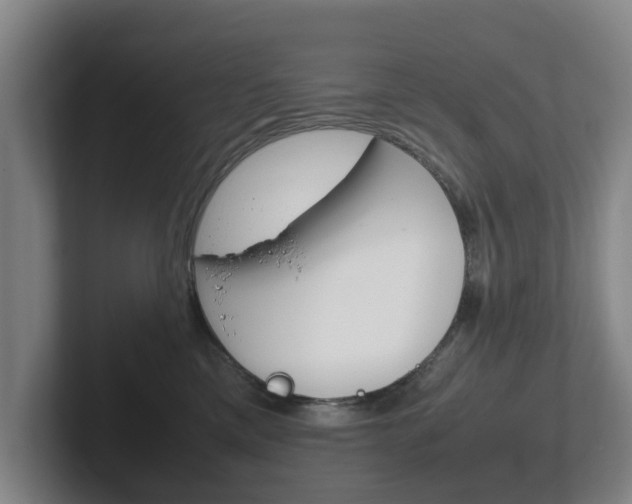 X0000102270425200807250901