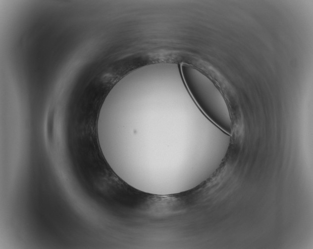 X0000102270429200807250901