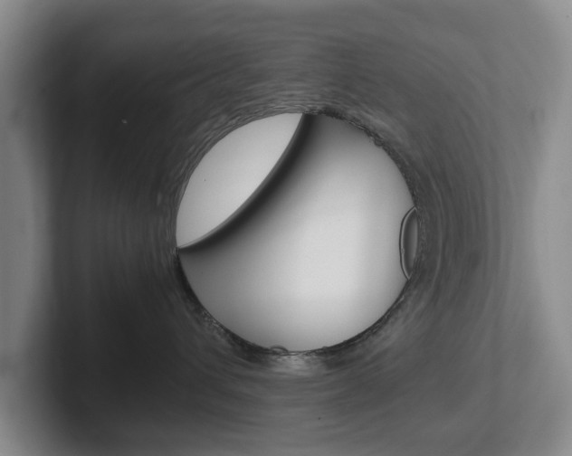 X0000102270432200807250901