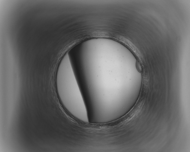 X0000102270433200807250901