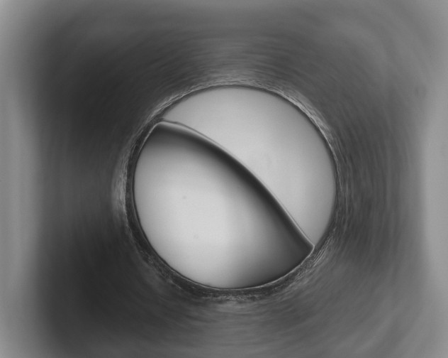 X0000102270434200807250901