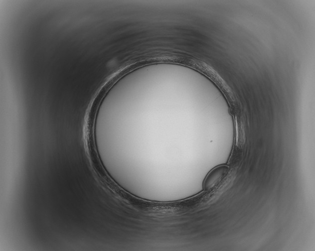 X0000102270435200807250901