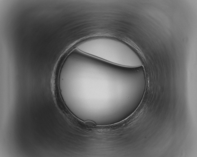 X0000102270436200807250901