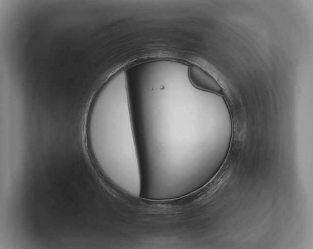 X0000102270437200807250901