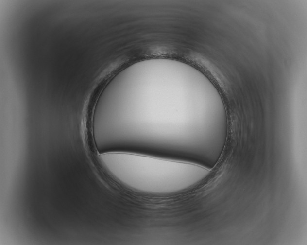 X0000102270443200807250901