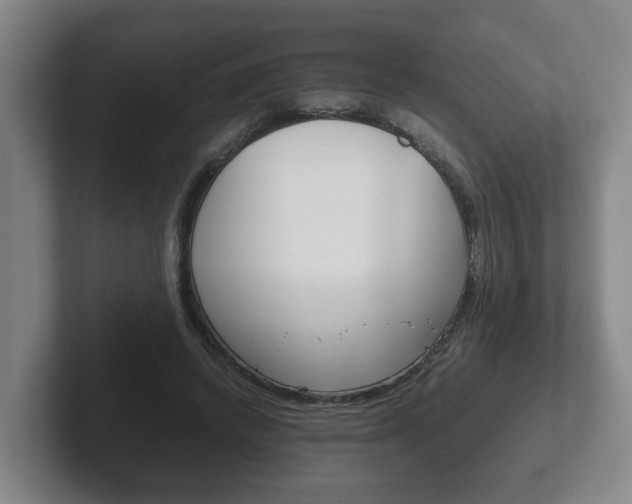X0000102270448200807250901