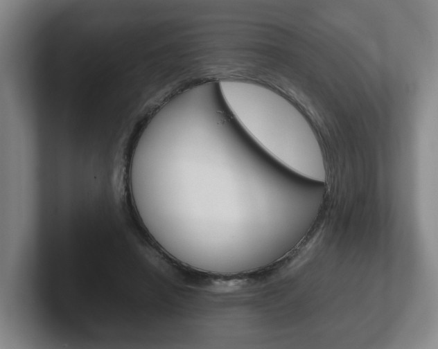 X0000102270450200807250901