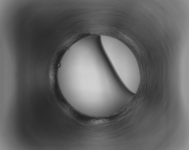 X0000102270452200807250901