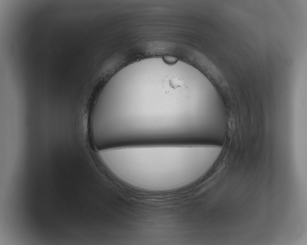 X0000102270454200807250901