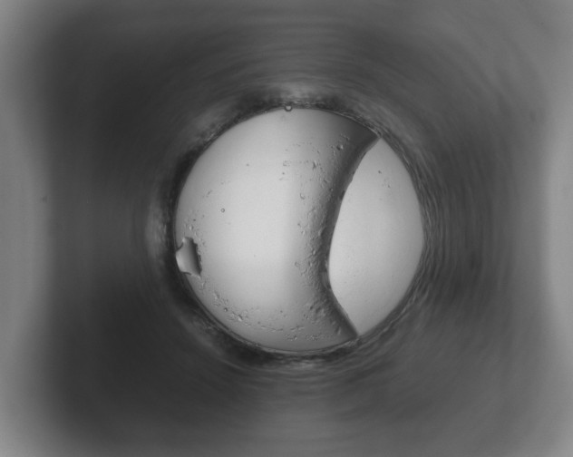 X0000102270456200807250901