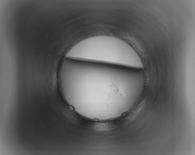 X0000102270457200807250901