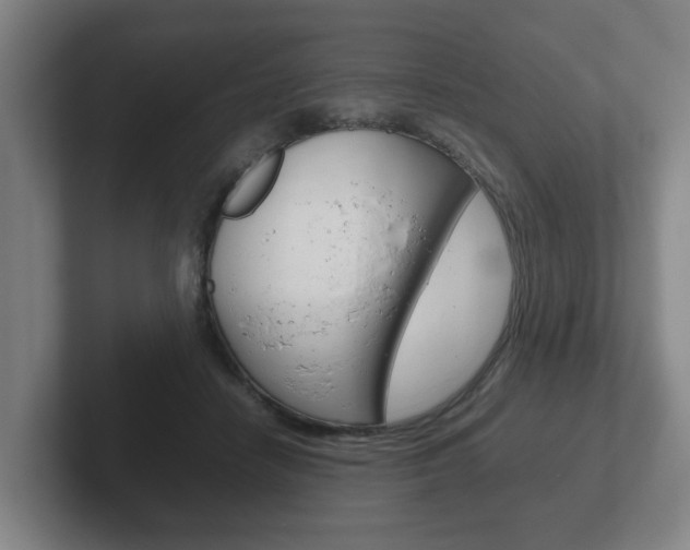 X0000102270458200807250901