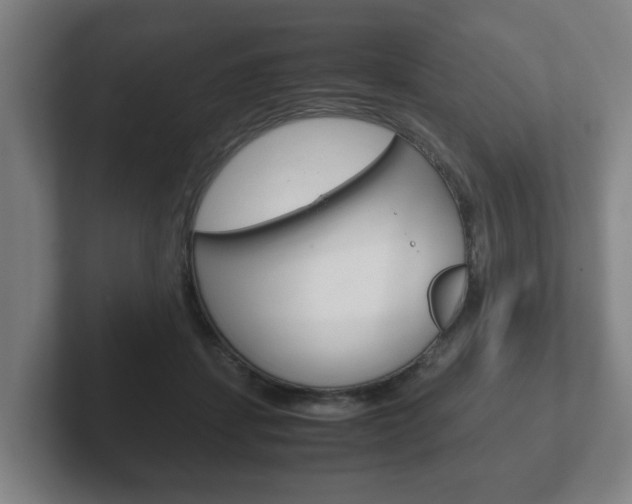 X0000102270459200807250901