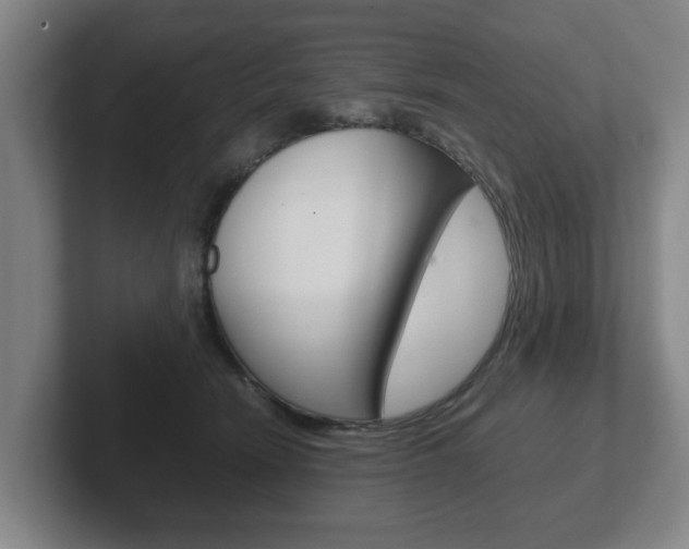 X0000102270466200807250901