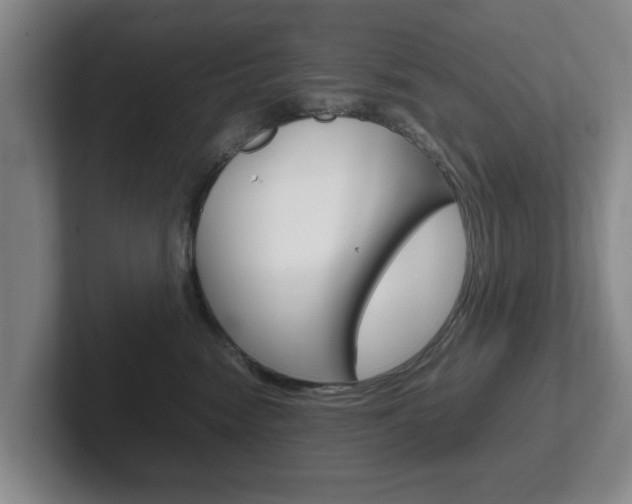 X0000102270474200807250901