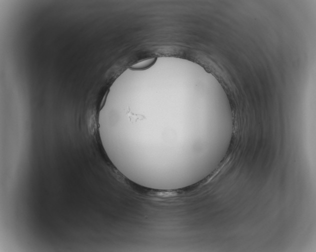 X0000102270478200807250901