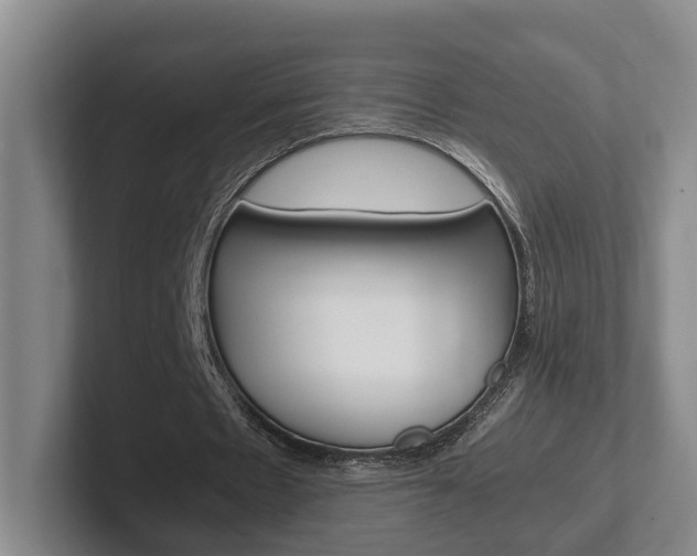 X0000102270481200807250901