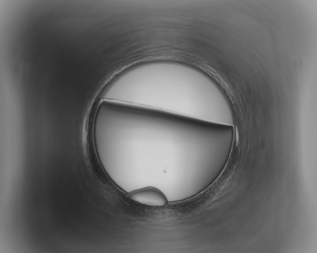X0000102270483200807250901