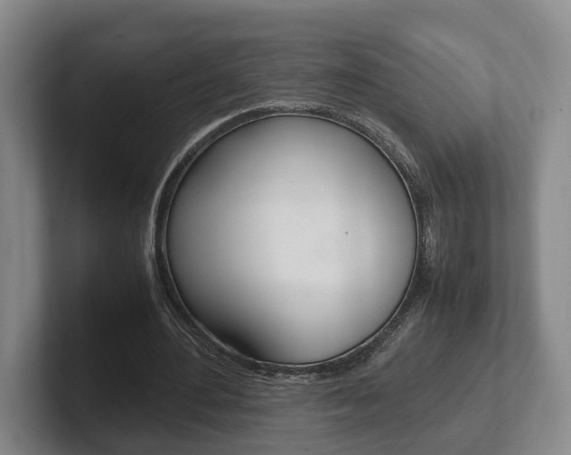 X0000102270484200807250901